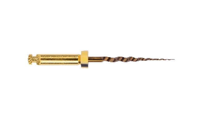 ProTaper Gold Sterile 19mm SX