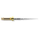 ProTaper Next Sterile 19mm XA File 