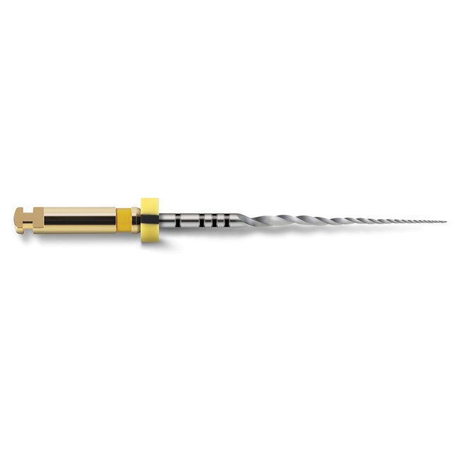 ProTaper Next Sterile 19mm XA File