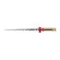 ProTaper Next Sterile 21mm X2 025/06 - Red
