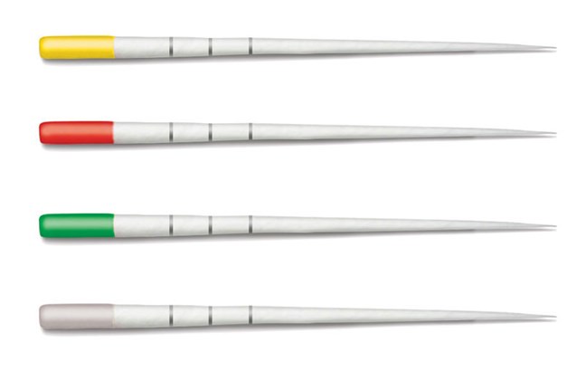 WaveOne Gold Sterile Paper Points Large