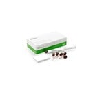 GuttaFlow 2 Standard Set 