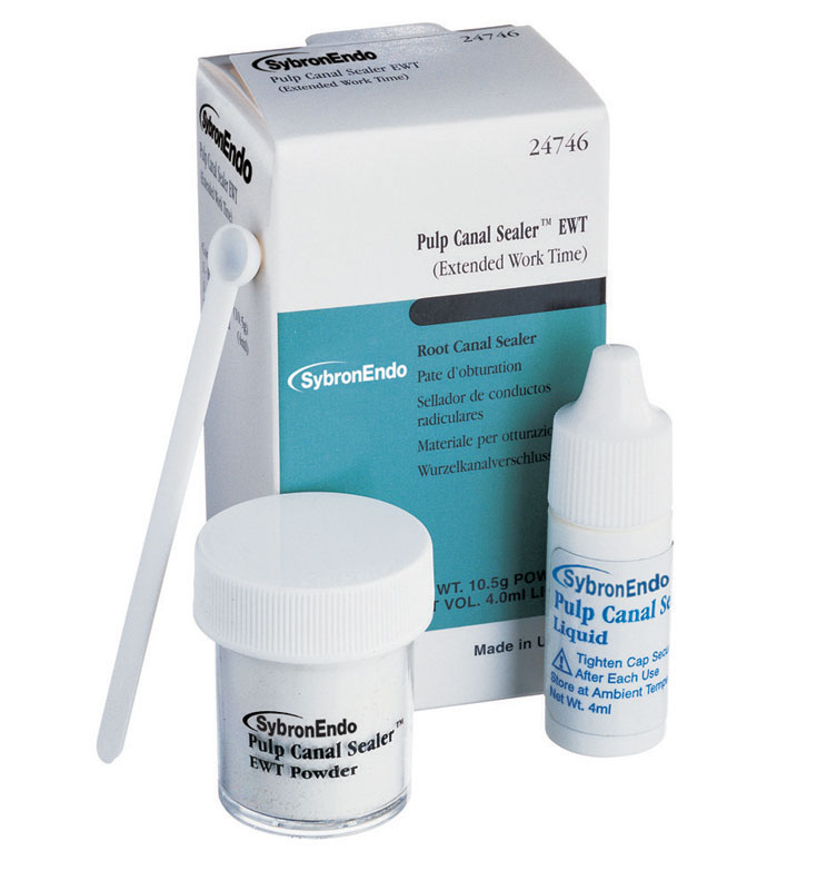 EVK315 Pulp Canal Sealer EWT Standard Pack