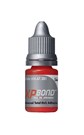 Prime&Bond XP Standard Pack 