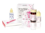 Fuji Triage Powder 1:1 Pack White 