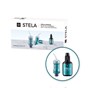 Stela Capsule Intro Kit