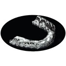 Essix Retainer Sheets  C+ 040'' Round 120mm 