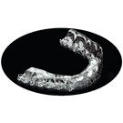 Essix PLUS.040 120mm Round Retainer Sheet (1APL40C120) 