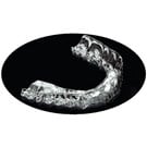 Essix PLUS.040 125mm Round Retainer Sheet (1APL40C125) 