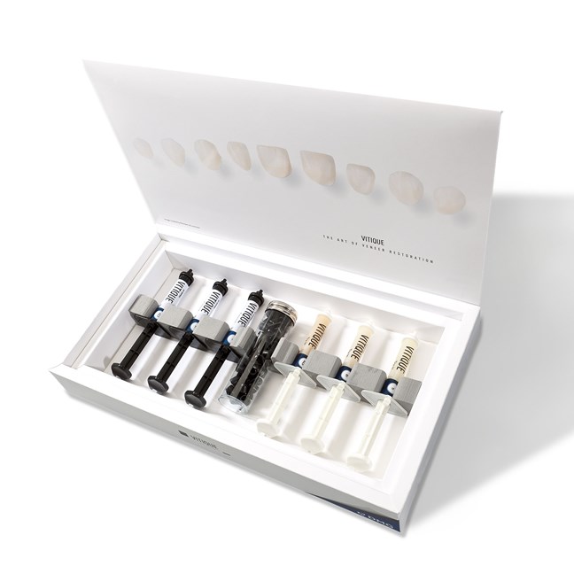 Vitique Try-In Paste 3.9g Syringe Transparent