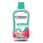 Corsodyl Daily Rinse Alcohol Free Fresh Mint