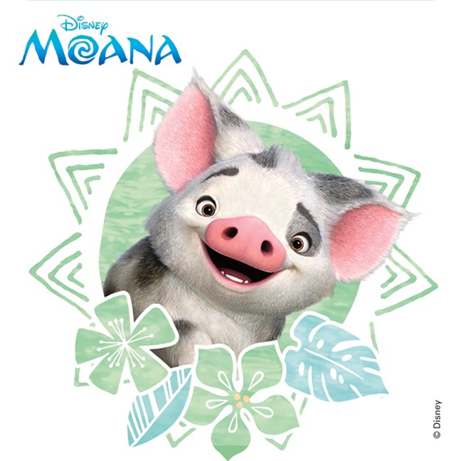 Stickers - Moana