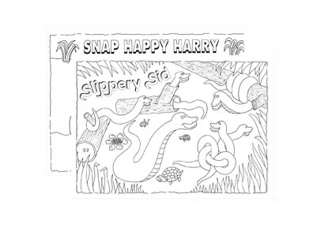 Colouring Pads - Swamp Fever