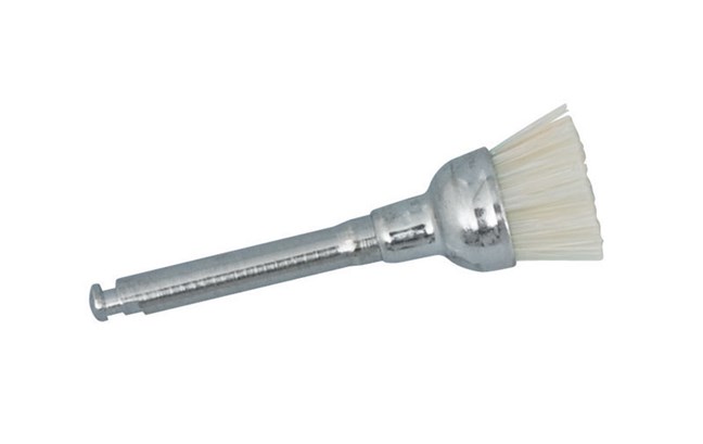 Bristle Brushes Junior Cup RA