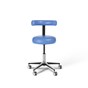 ic-D Dentist Stool - ES29 Blue