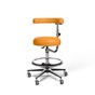 Dental Stools ic-DSSA - Melon