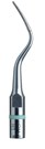 Scaling Tips H1 