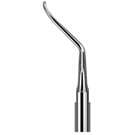 Scaling Tips S-Type Endo Tip AH4L 