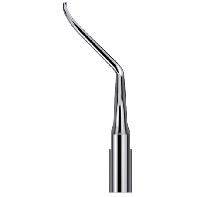 Scaling Tips S-Type Endo Tip AH4L