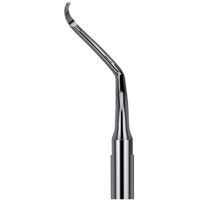 Scaling Tips S-Type Endo Tip AH4R