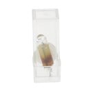 Spare Bulb For Incolight LT25 Air Motor 