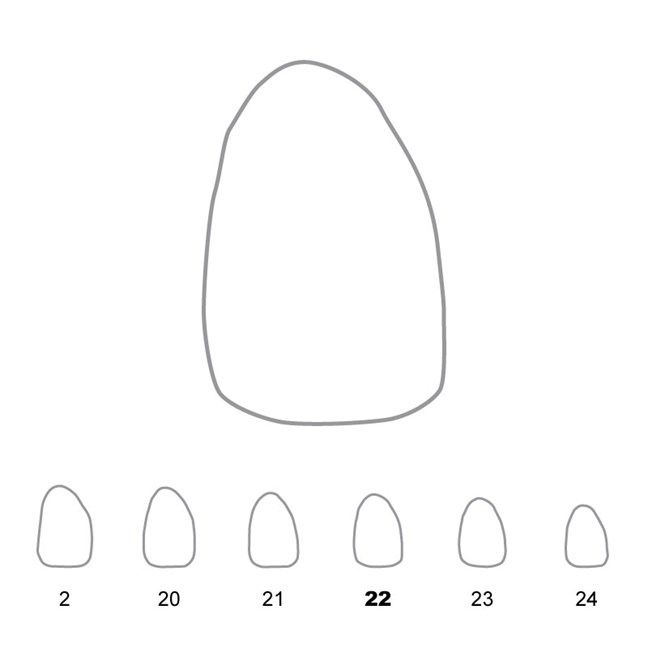 Temporary Crowns Upper Lateral Incisors Right 22