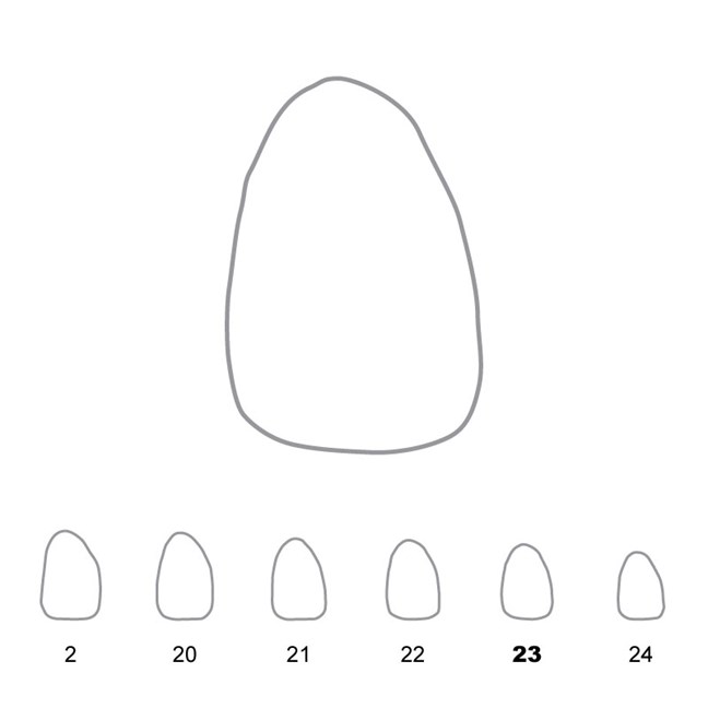 Temporary Crowns Upper Lateral Incisors Right 23