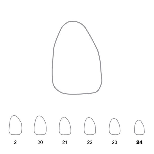 Temporary Crowns Upper Lateral Incisors Right 24