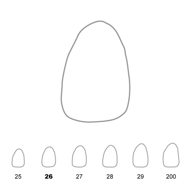Temporary Crowns Upper Lateral Incisors Left 26