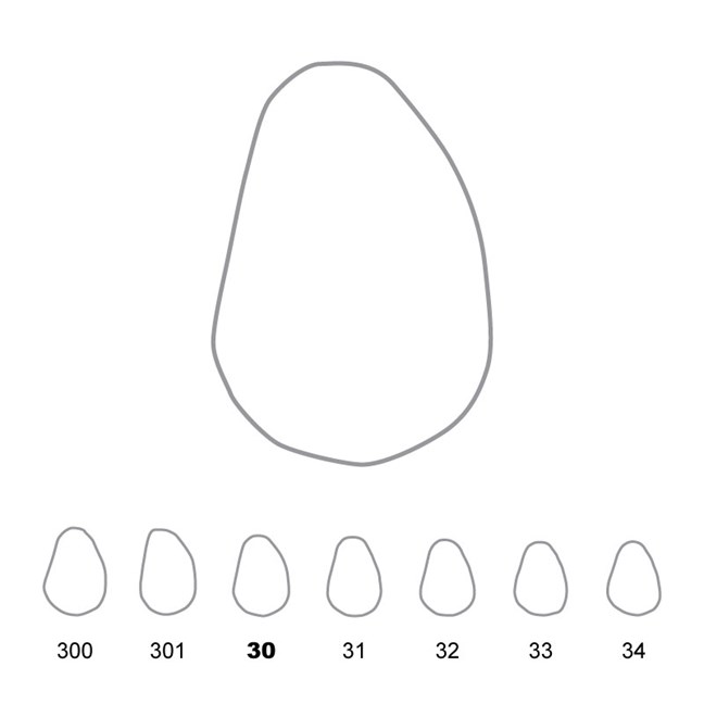 Temporary Crowns Upper Canines Right 30