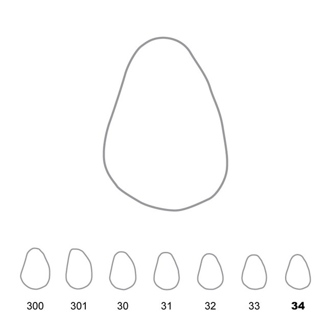 Temporary Crowns Upper Canines Right 34