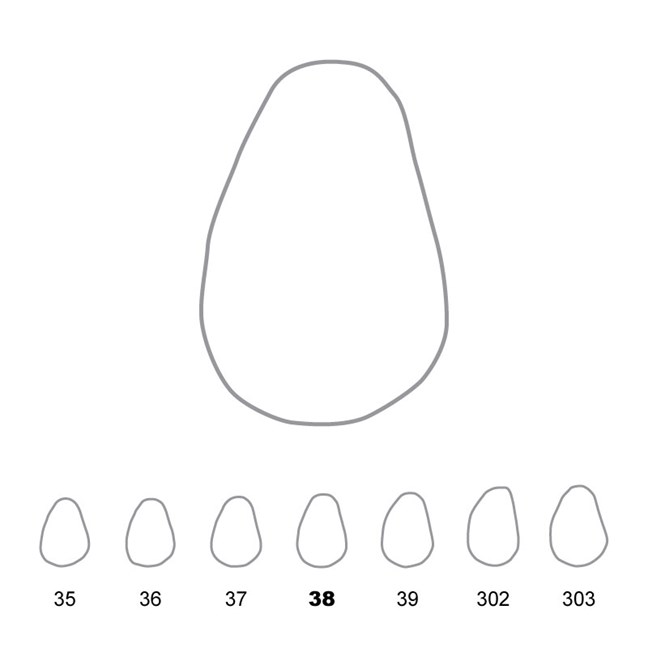Temporary Crowns Upper Canines Left 38