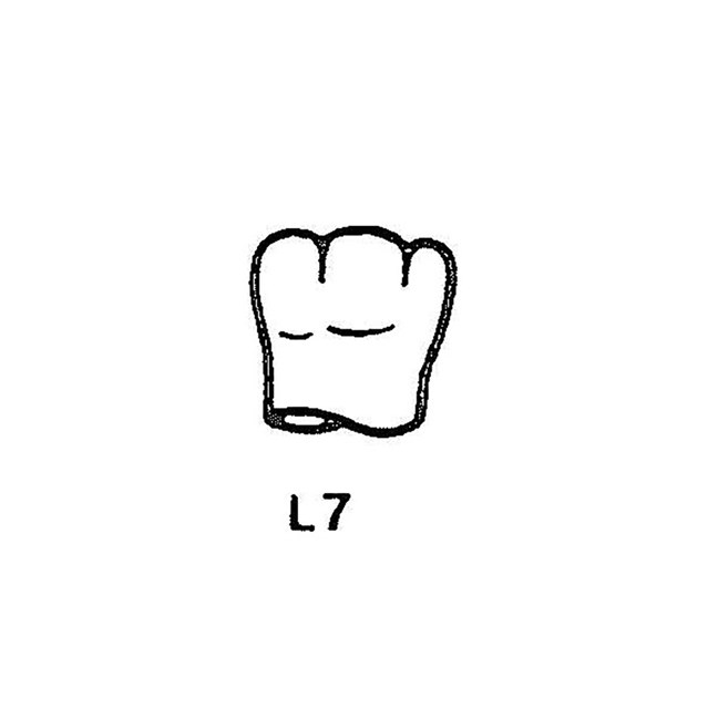 FullForm OP Temporary Transparent Crowns L7