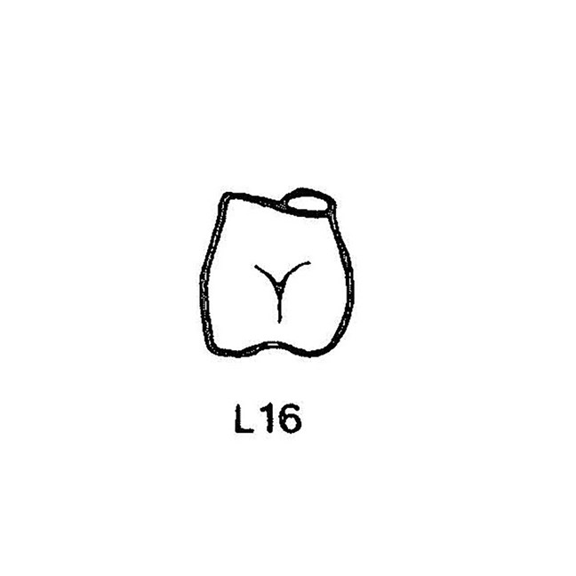 FullForm OP Temporary Transparent Crowns L16
