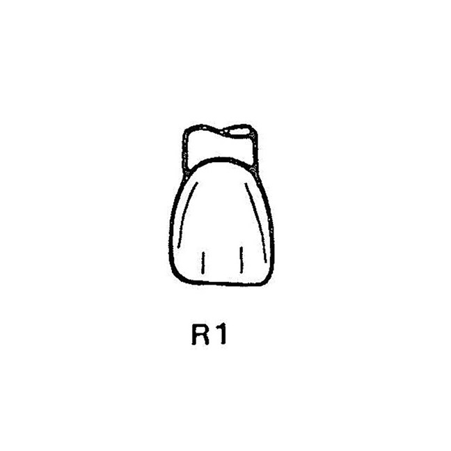 FullForm OP Temporary Transparent Crowns R1