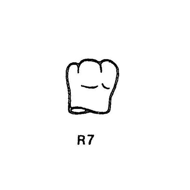 FullForm OP Temporary Transparent Crowns R7