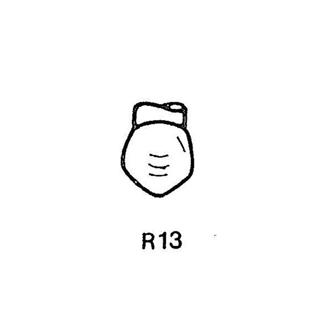 FullForm OP Temporary Transparent Crowns R13