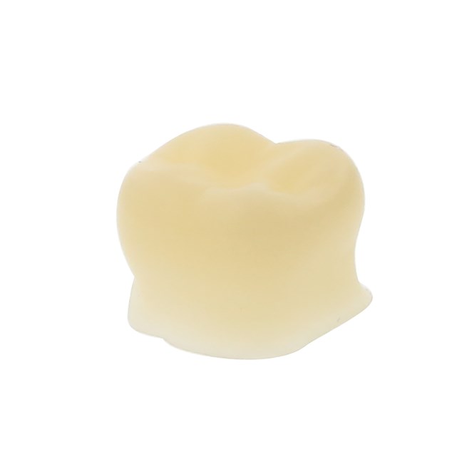 Protemp Crown Molar Lower Small Kit