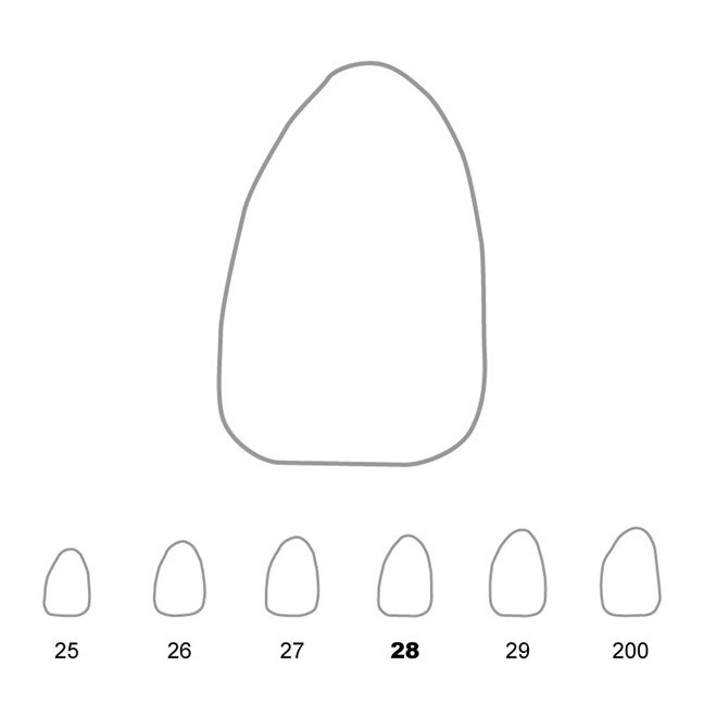 Temporary Crowns Upper Lateral Incisors Left 28