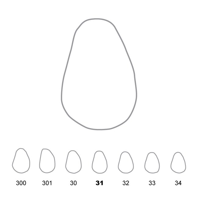 Temporary Crowns Upper Canines Right 31