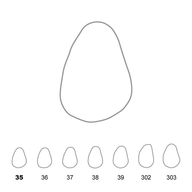 Temporary Crowns Upper Canines Left 35