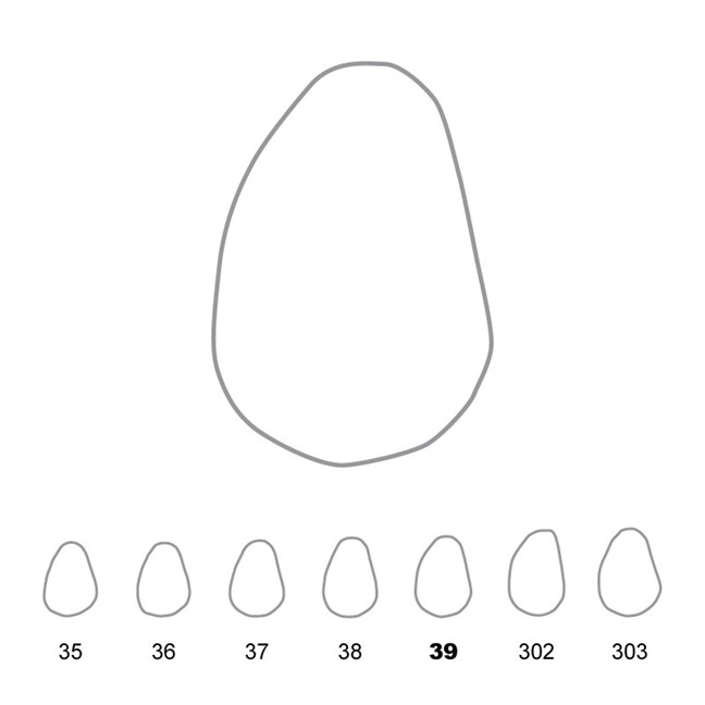Temporary Crowns Upper Canines Left 39