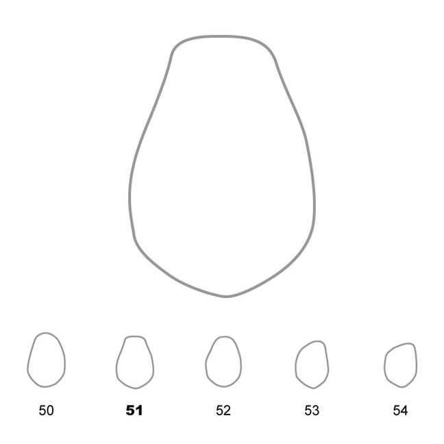 Temporary Crowns Lower Premolars 51