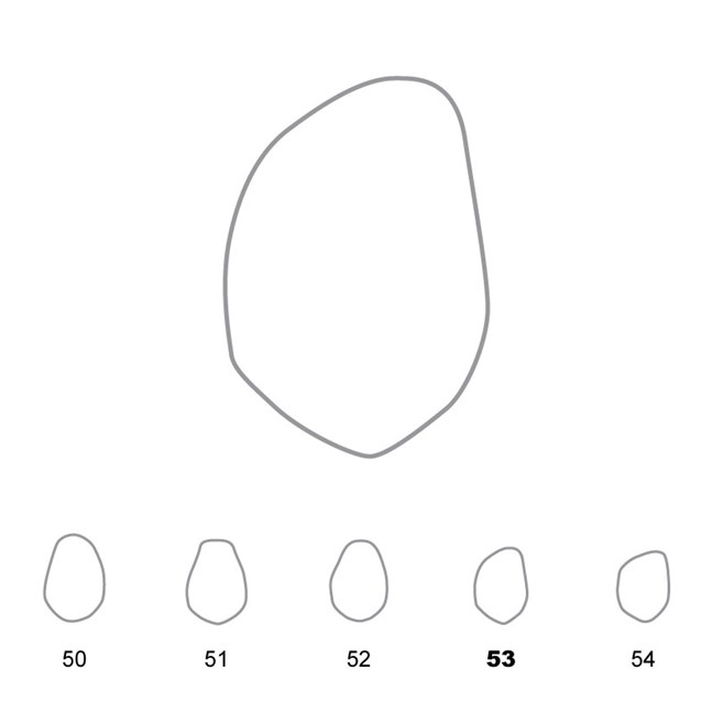 Temporary Crowns Lower Premolars 53