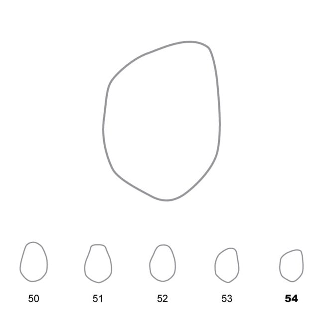 Temporary Crowns Lower Premolars 54