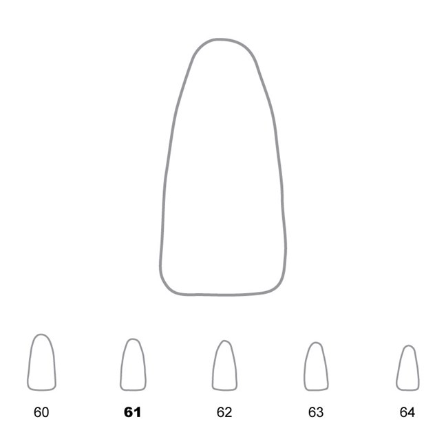 Temporary Crowns Lower Incisors 61