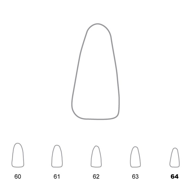 Temporary Crowns Lower Incisors 64