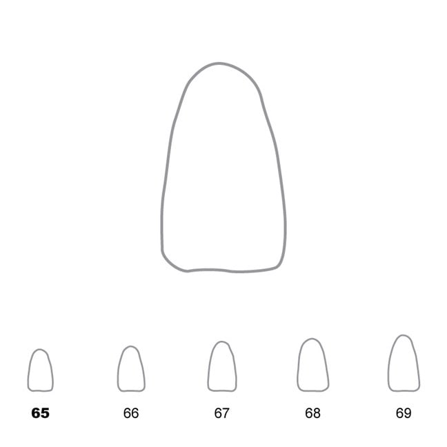 Temporary Crowns Lower Incisors 65