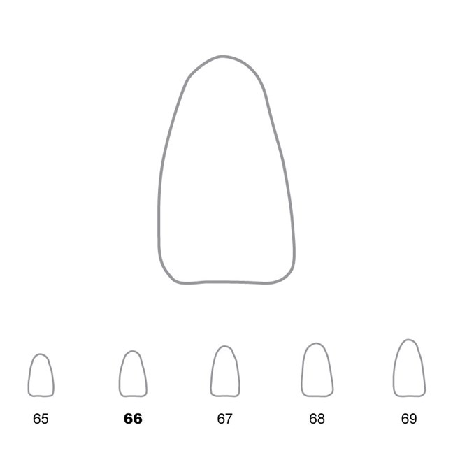 Temporary Crowns Lower Incisors 66