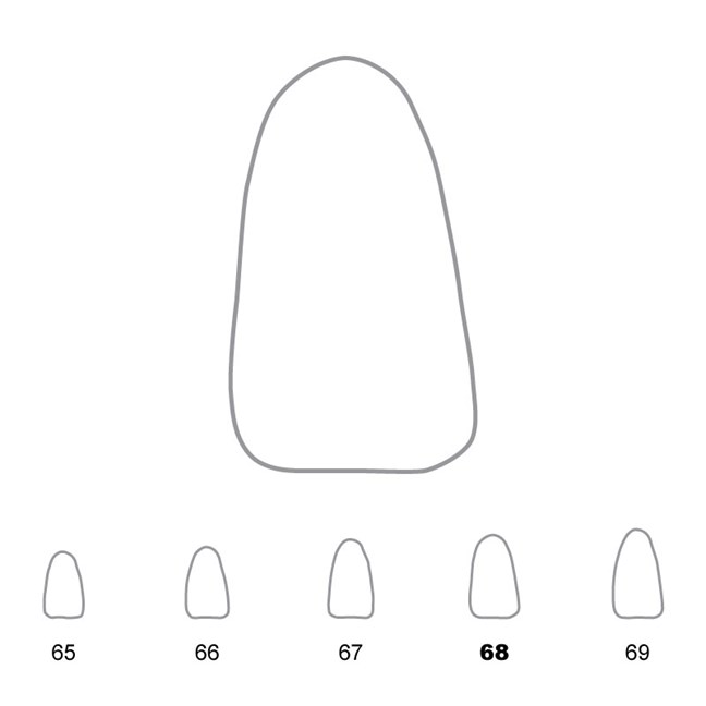 Temporary Crowns Lower Incisors 68